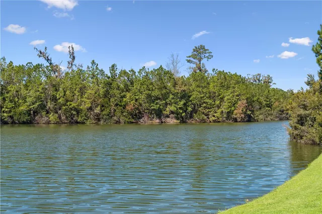 $3,450,000 | 134 Telford Ln Street, St. Simons Island, GA 31522