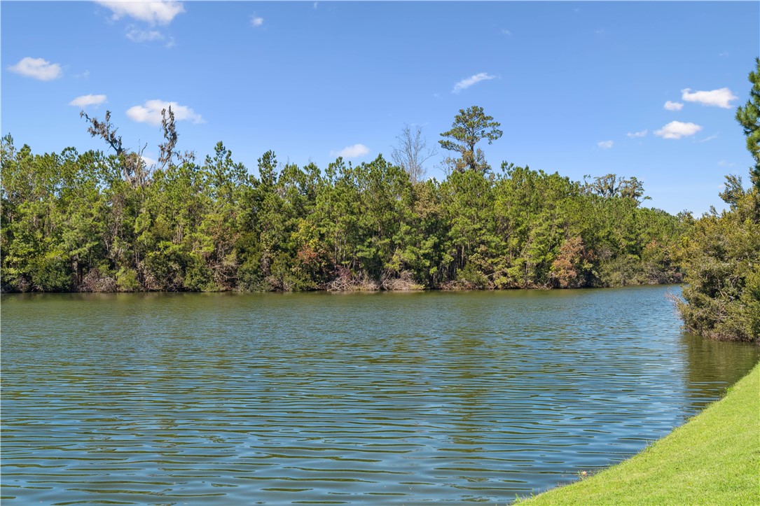 134 Telford Ln Street St. Simons Island, GA 31522 - Photo 70 of 70