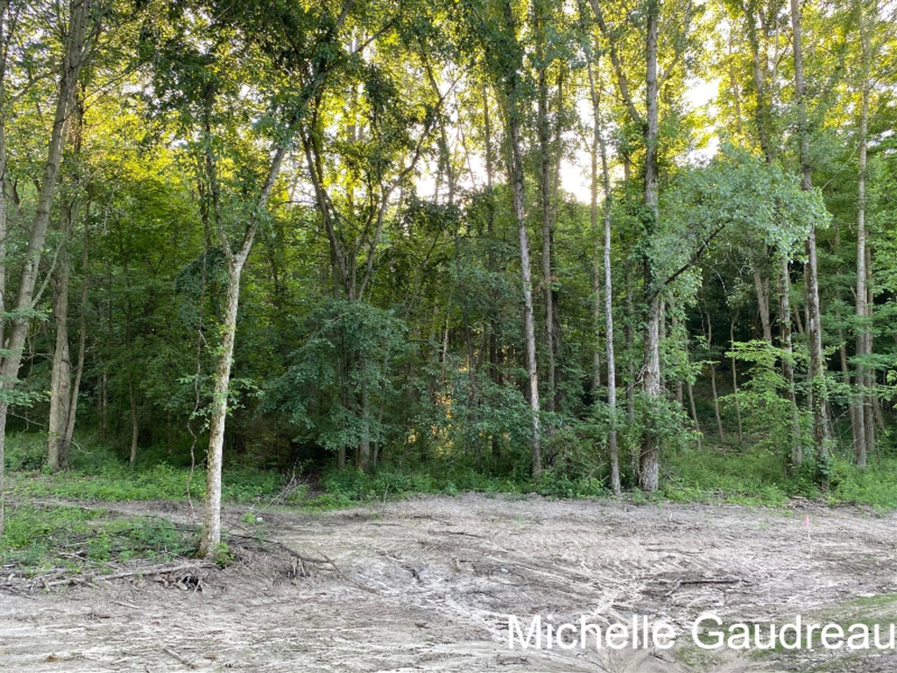 North N Ridge, Unit PARCEL 8 Middleville, MI 49333 - Photo 8 of 9