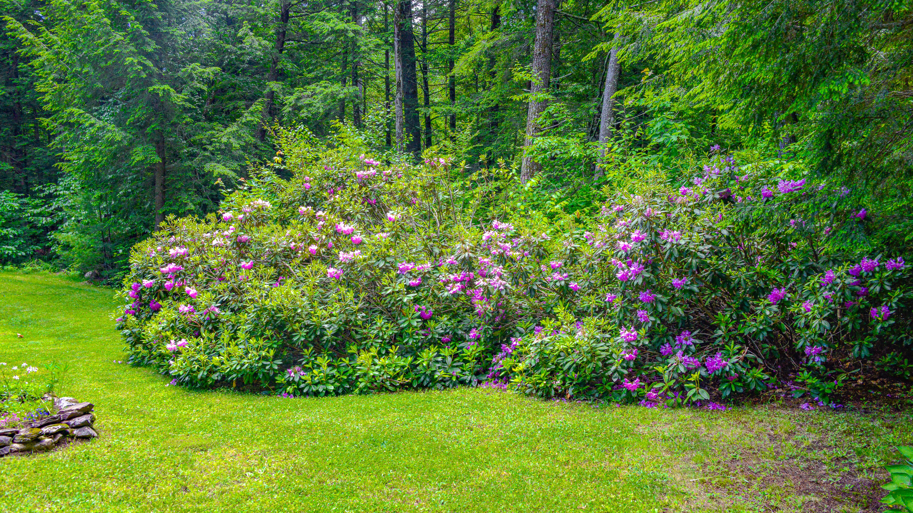 585 Parsonsfield Road Limerick, ME 04048 - Photo 34 of 106 585 parsonsfield road limerick 6-15-2026