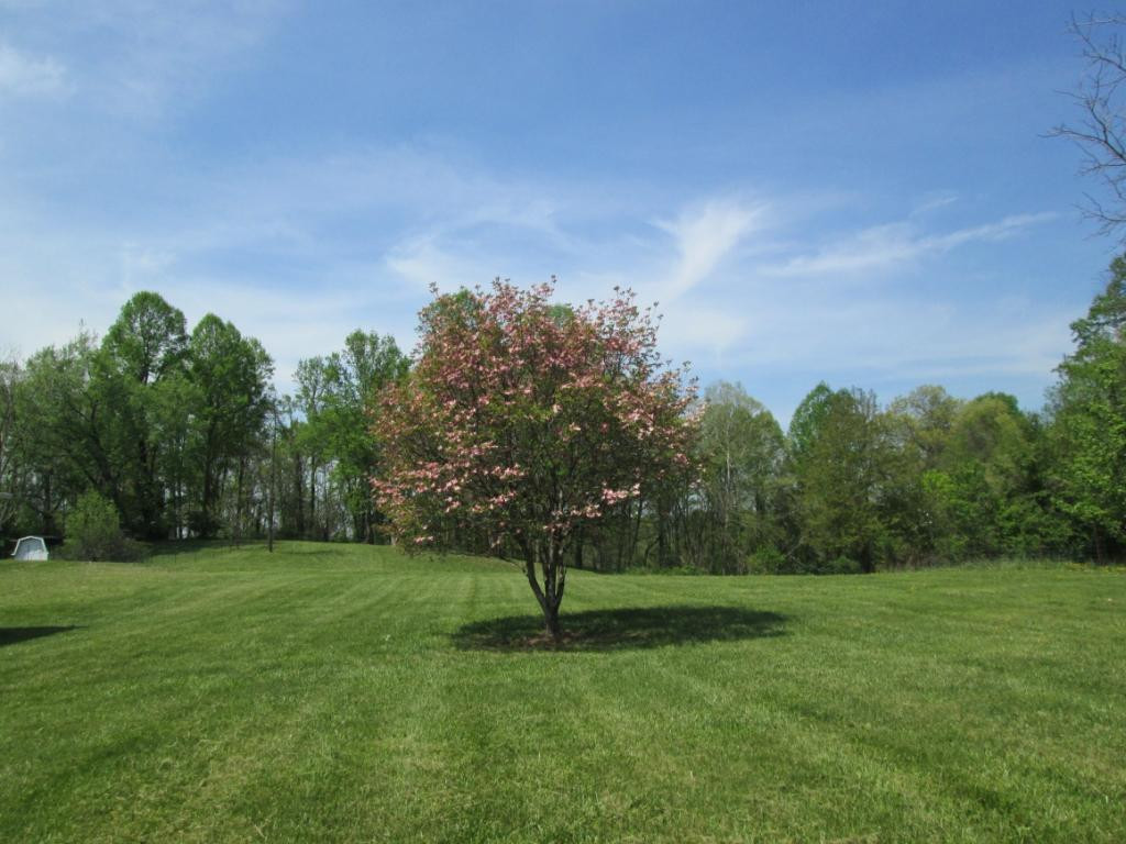 324 Booher Road Bristol, VA 24201 - Photo 32 of 36 Acreage