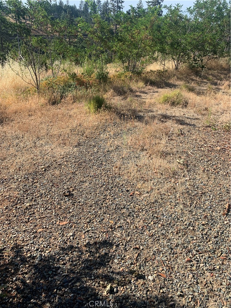 1797 Stearns Road Paradise, CA 95969 - Photo 1 of 4