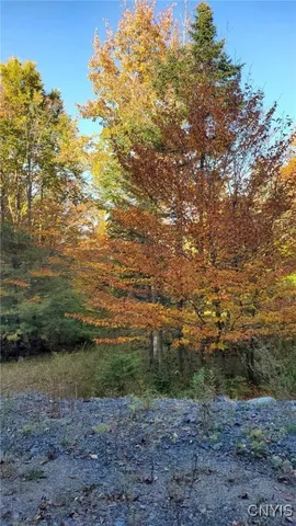 $139,900 | Steinfeldt Lane, Long Lake, NY 12847