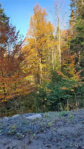 $139,900 | Steinfeldt Lane, Long Lake, NY 12847