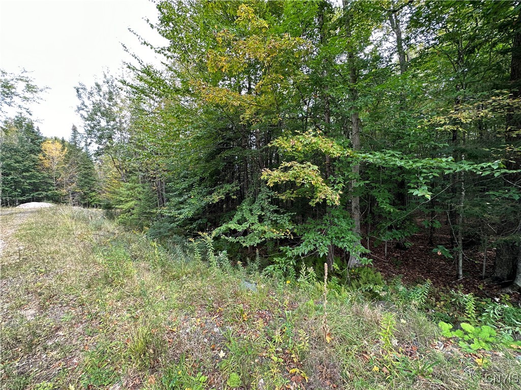 Steinfeldt Lane Long Lake, NY 12847 - Photo 4 of 6