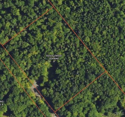 Steinfeldt Lane Long Lake, NY 12847 - Photo 5 of 6