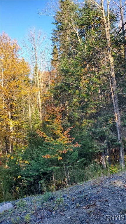 Steinfeldt Lane Long Lake, NY 12847 - Photo 6 of 6