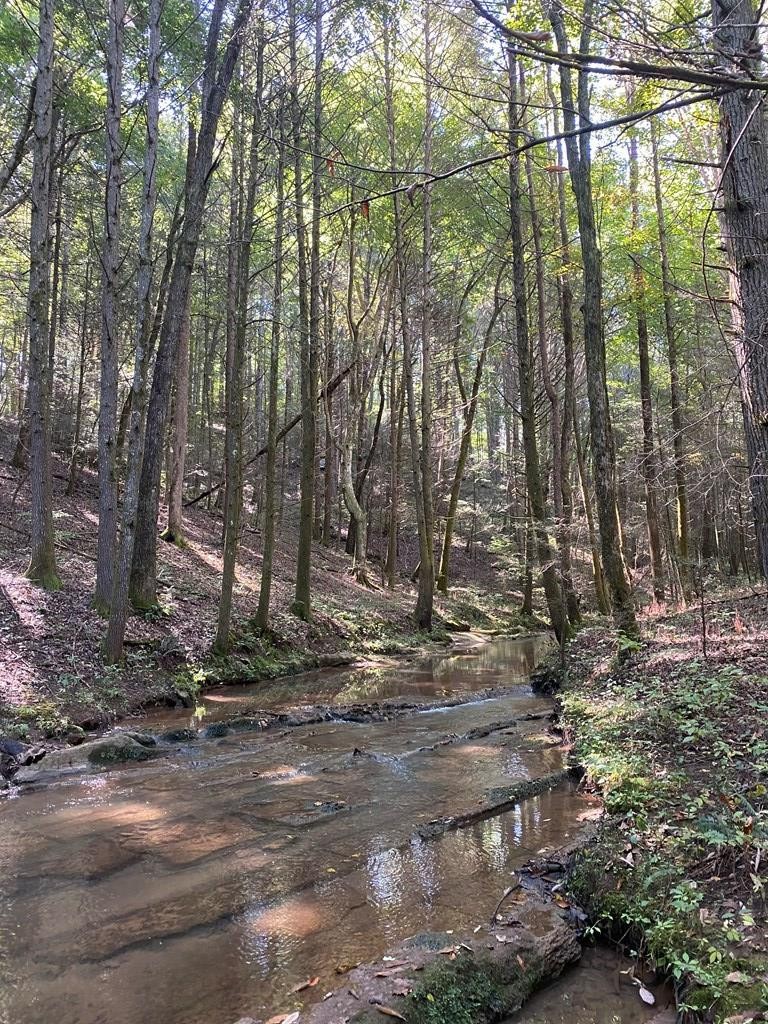 0 Ballplay Road Madisonville, TN 37354 - Photo 6 of 7