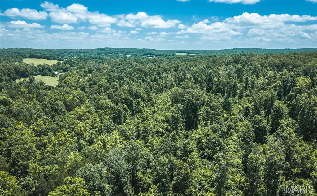 0 Czar Tower Road Steelville, MO 65565 - Photo 14 of 19