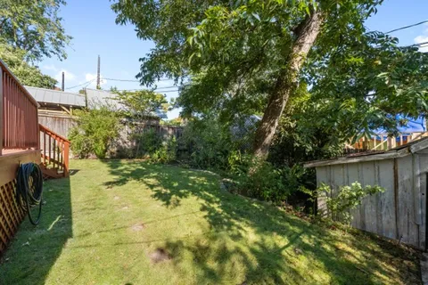 a backyard of a house with plants and tree