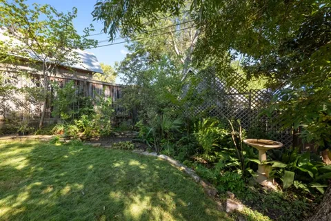 a view of a tree in a yard