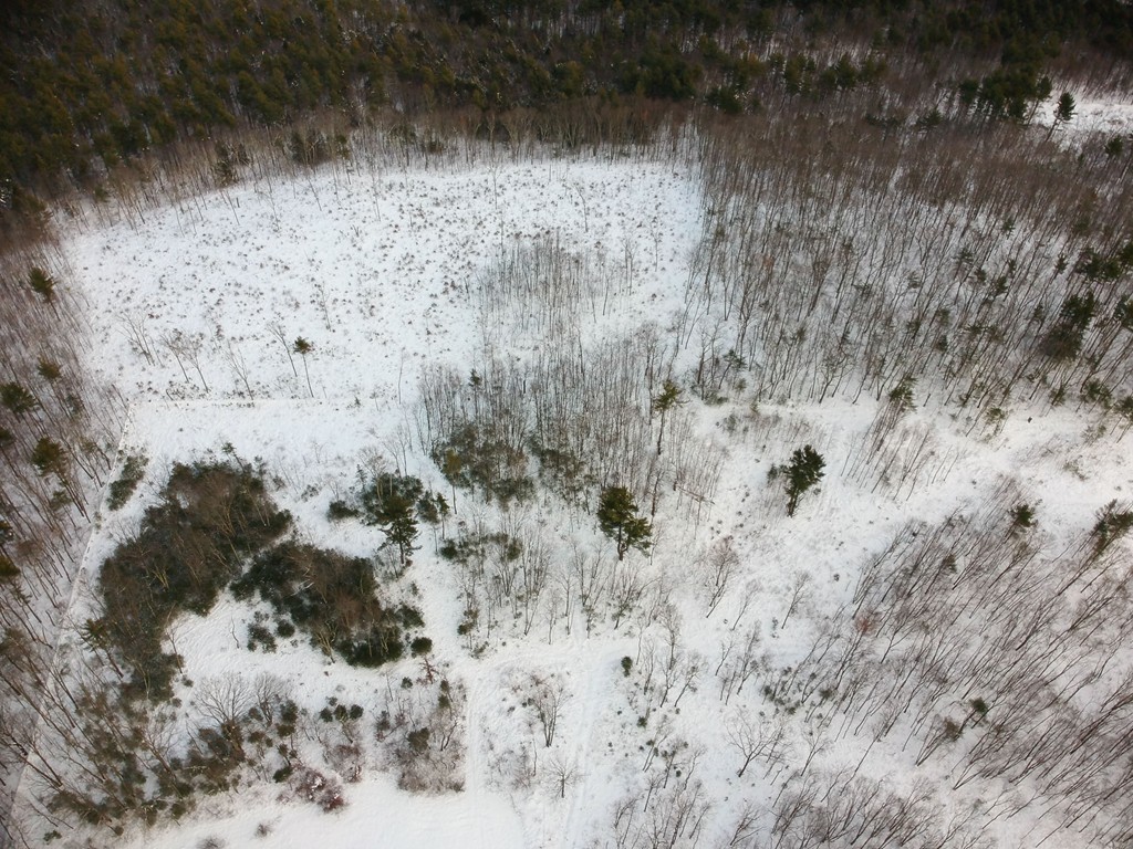 Lot 12 Jackson Road Hardwick, MA 01037 - Photo 13 of 20