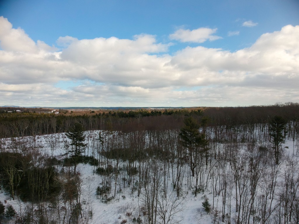 Lot 12 Jackson Road Hardwick, MA 01037 - Photo 14 of 20