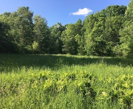Lot 12 Jackson Road Hardwick, MA 01037 - Photo 6 of 20