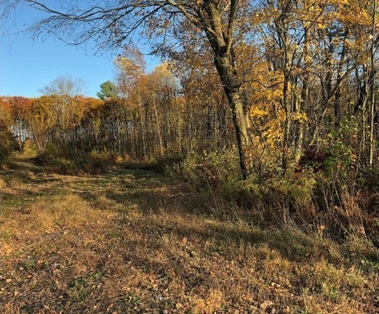 Lot 12 Jackson Road Hardwick, MA 01037 - Photo 10 of 20