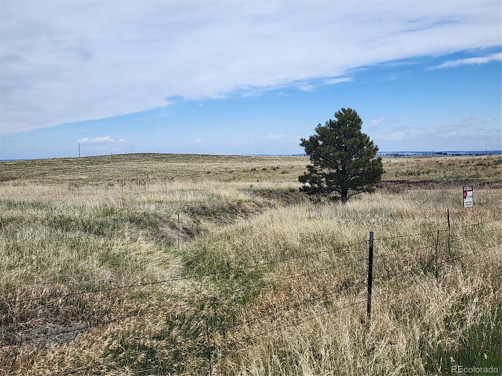 13753 Hawkeye Road Kiowa, CO 80117 - Photo 3 of 4