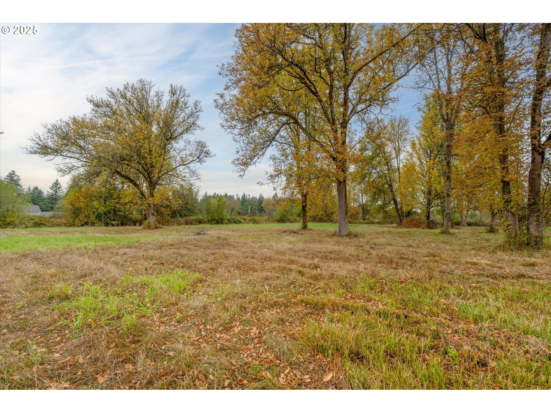 425 Main Street Vader, WA 98593 - Photo 4 of 19 Gallery Image 4