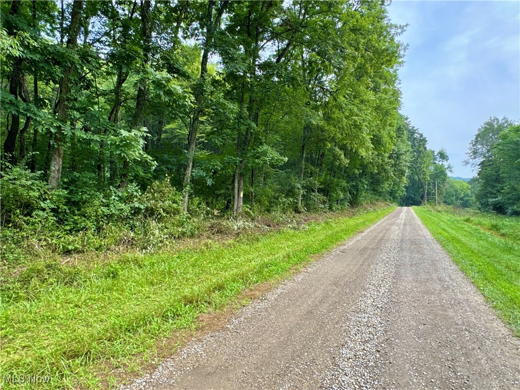 437 Township Road Dresden, OH 43821 - Photo 1 of 35 Gallery Image 1