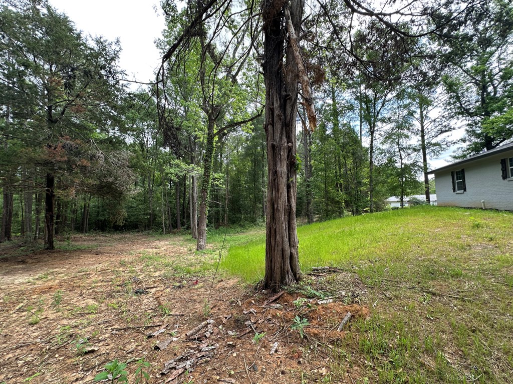 593 Mary McClendon Road Ozark, AL 36360 - Photo 62 of 65