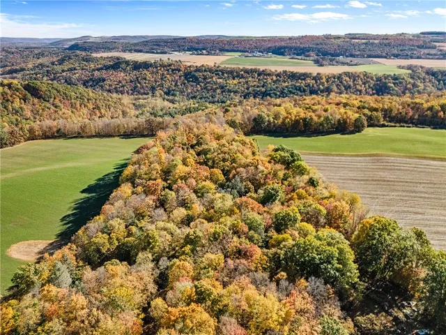 $275,000 | 11402 Canaseraga Road, Ossian, NY 14437