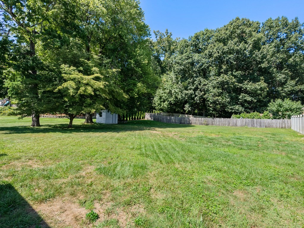 16 May Road Ludlow, MA 01056 - Photo 19 of 28 a view of yard with grass and trees