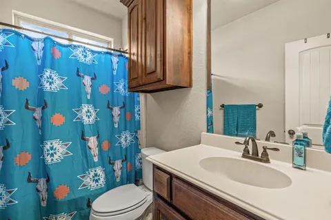 a bathroom with a sink a toilet and shower curtain