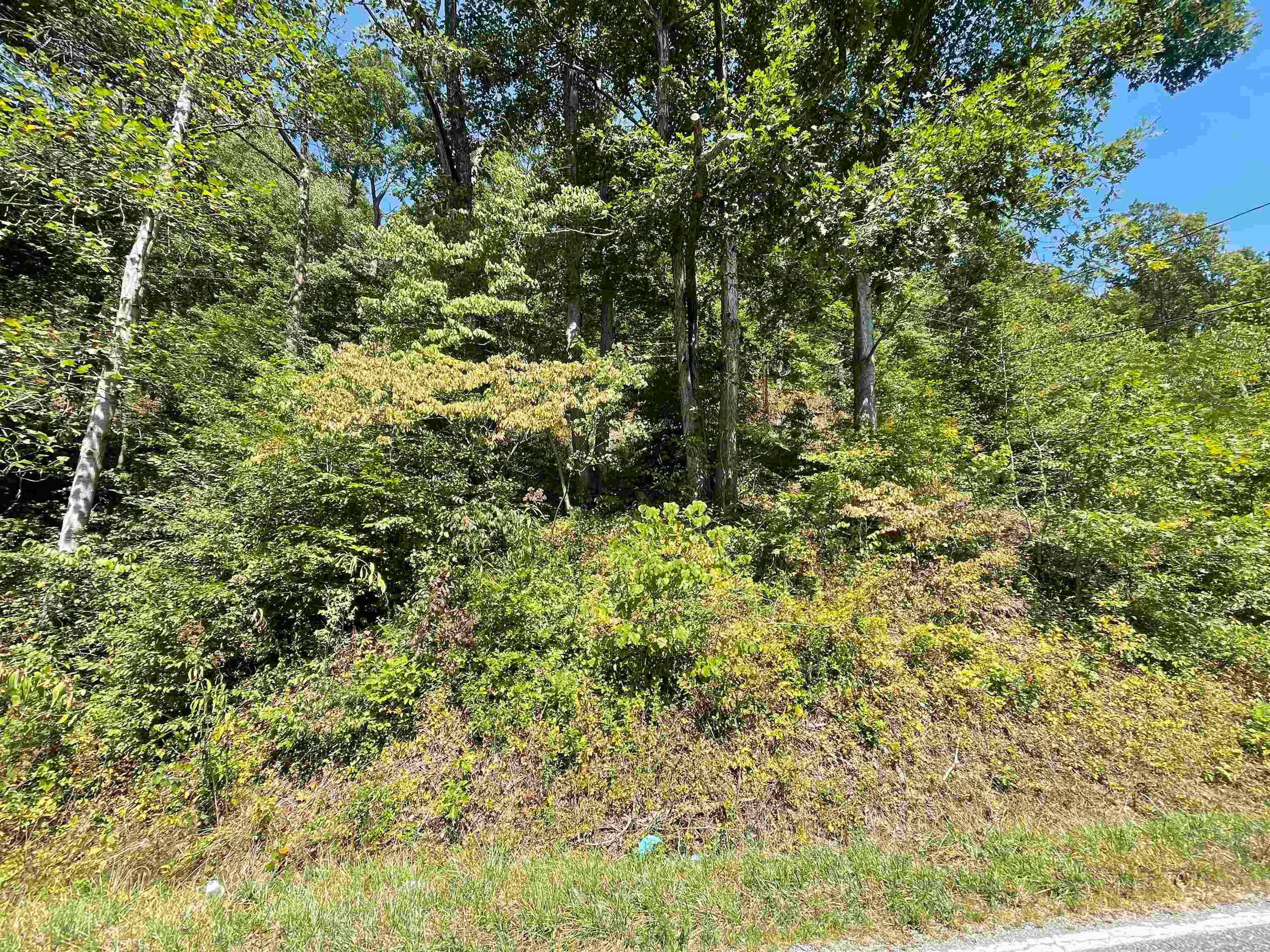 0 Fort Gay Road Fort Gay, WV 25514 - Photo 2 of 3 Gallery Image 2