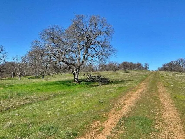 $109,900 | Lot 21 Lawndale Drive, Cottonwood, CA 96022