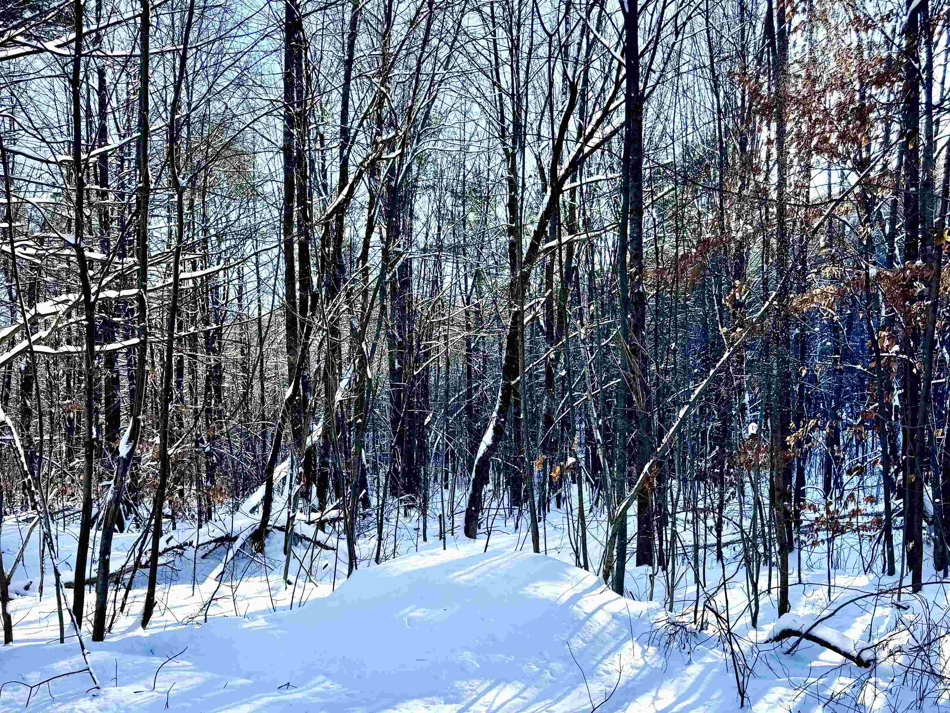302 Us Route, Unit 1 2 Bartlett, NH 03812 - Photo 18 of 20
