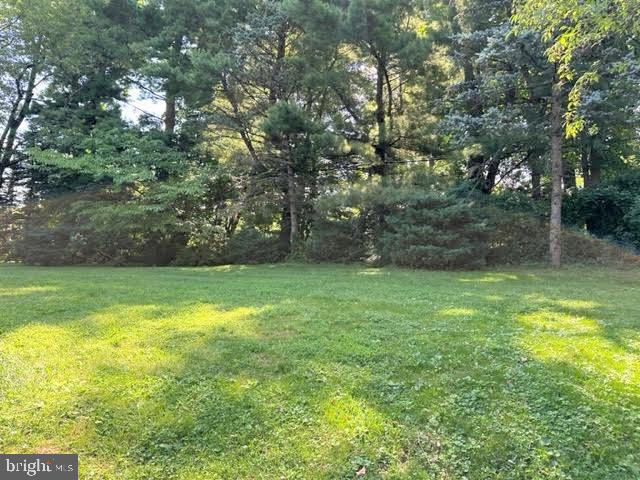 128 David Road Bala Cynwyd, PA 19004 - Photo 25 of 27 yard