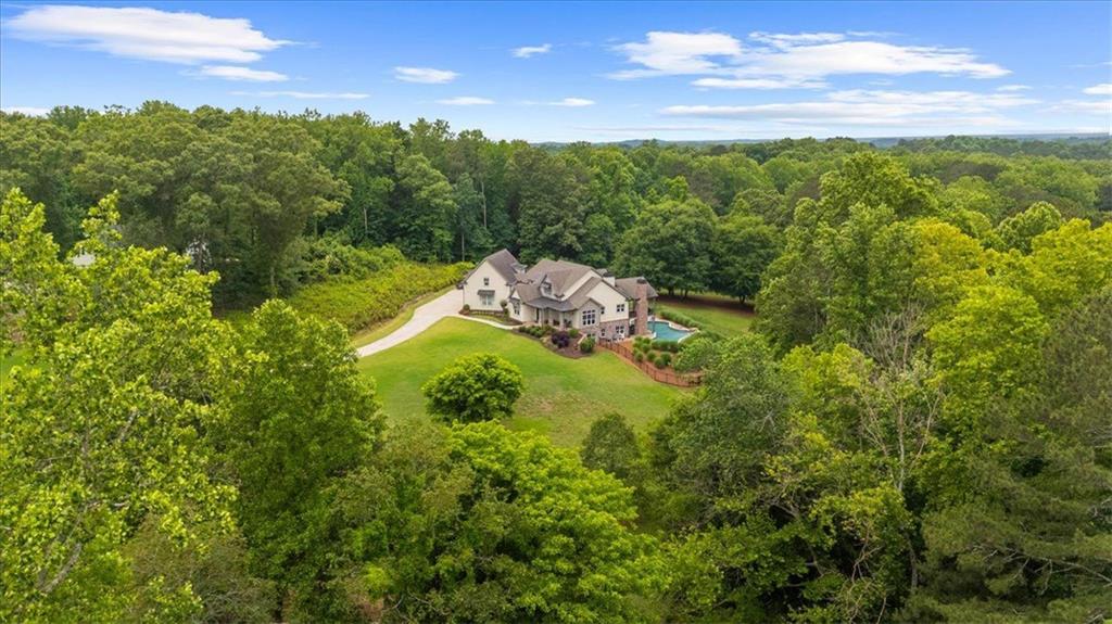 2503 Sugar Pike Road Canton, GA 30115 - Photo 28 of 134