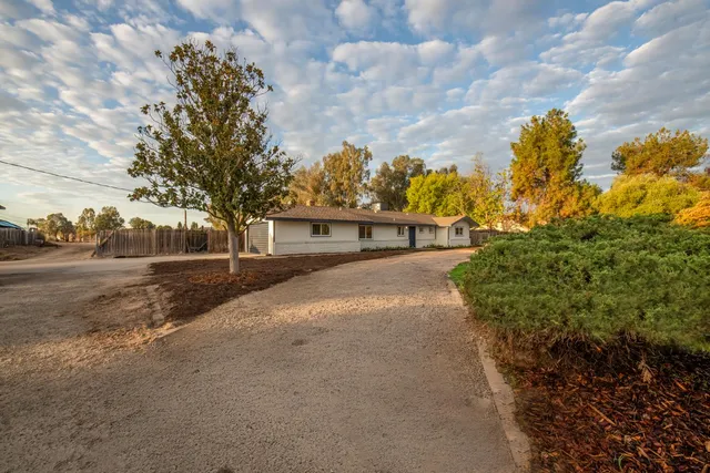 a view of road with large trees