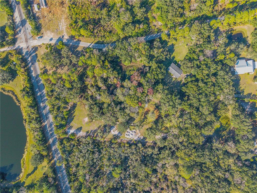 480 Clinton Cemetery Road Edgewater, FL 32141 - Photo 20 of 29 a view of a tree