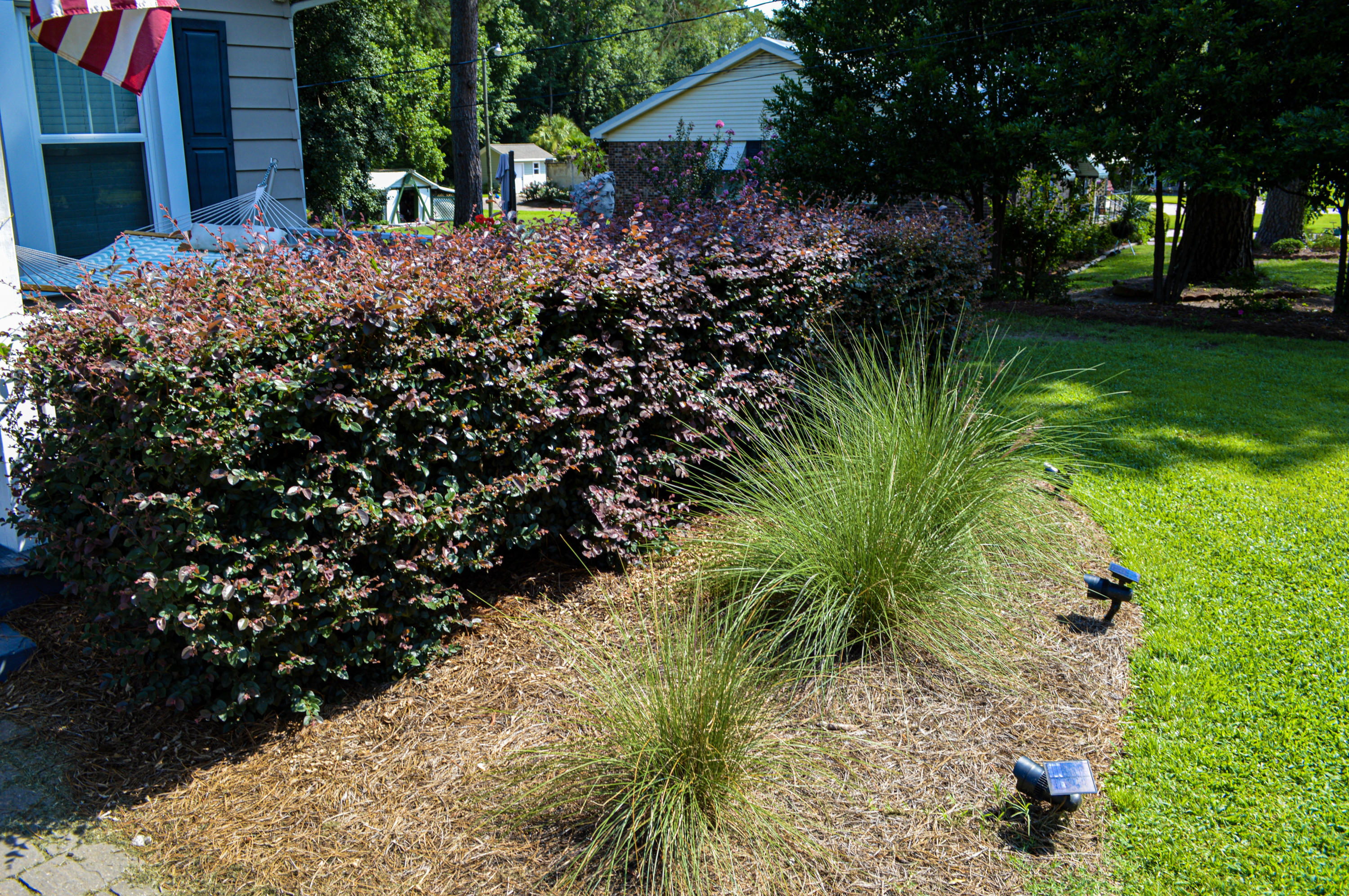 1111 Ann Street Rockingham, NC 28379 - Photo 9 of 44 EB30F1B4-81BE-41AF-8AE8-3126FFABE39E