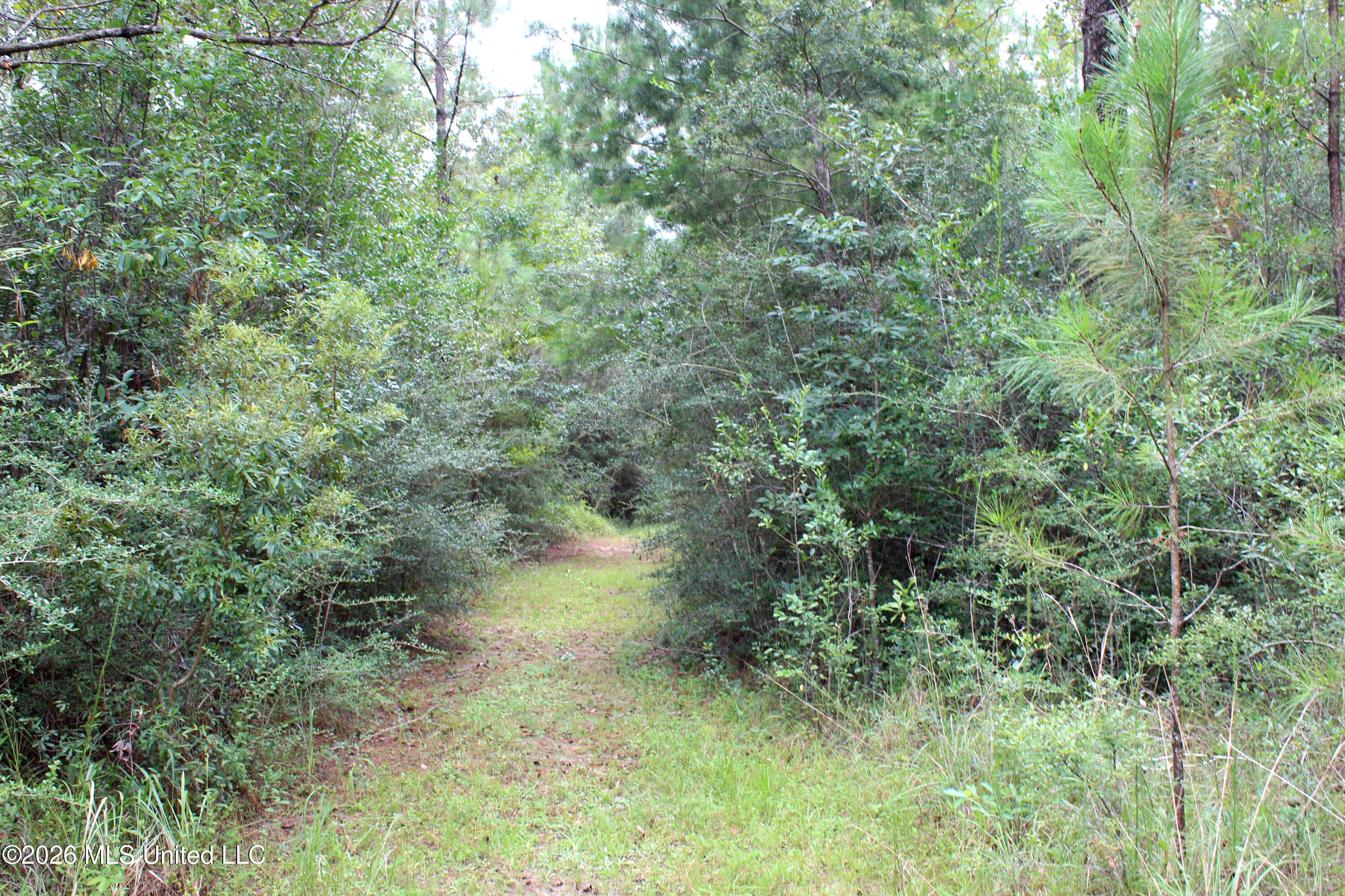 John Kelly Road Lucedale, MS 39452 - Photo 2 of 10 EA046E2A-E1D3-44B4-A094-A5FDD22C3813
