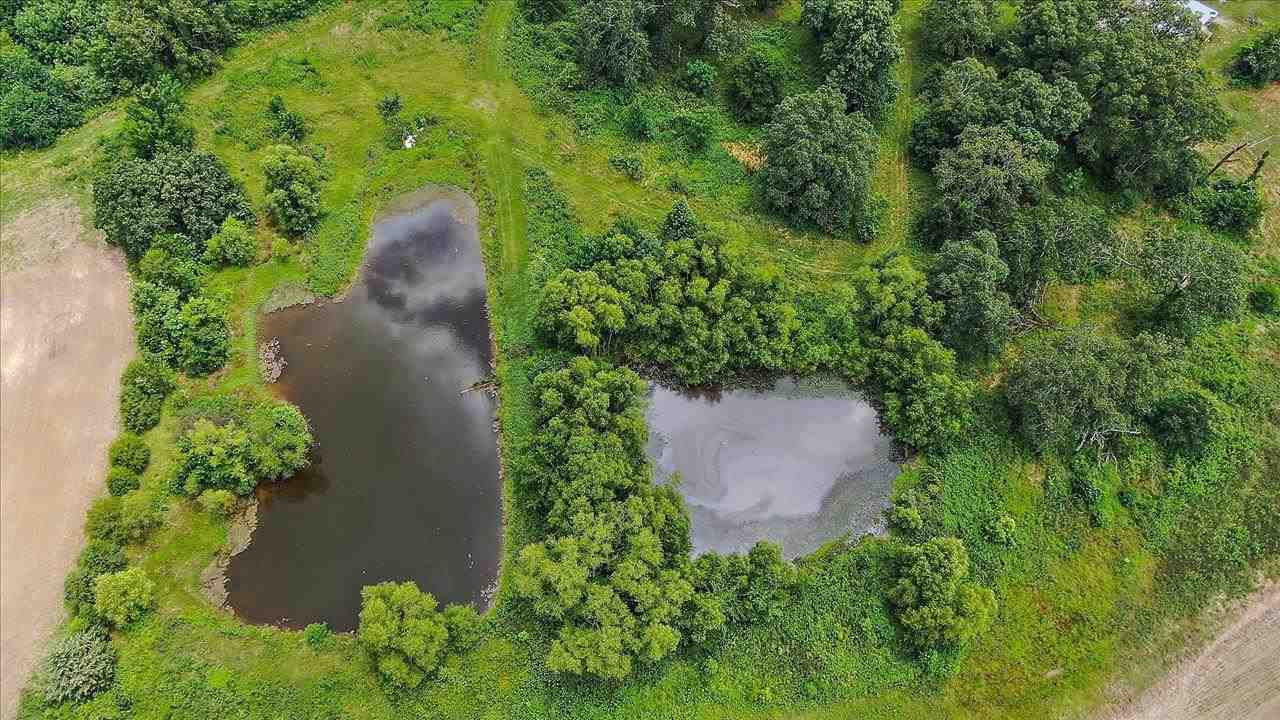 276 Hurdle Road Pelahatchie, MS 39145 - Photo 11 of 23 Photo 11