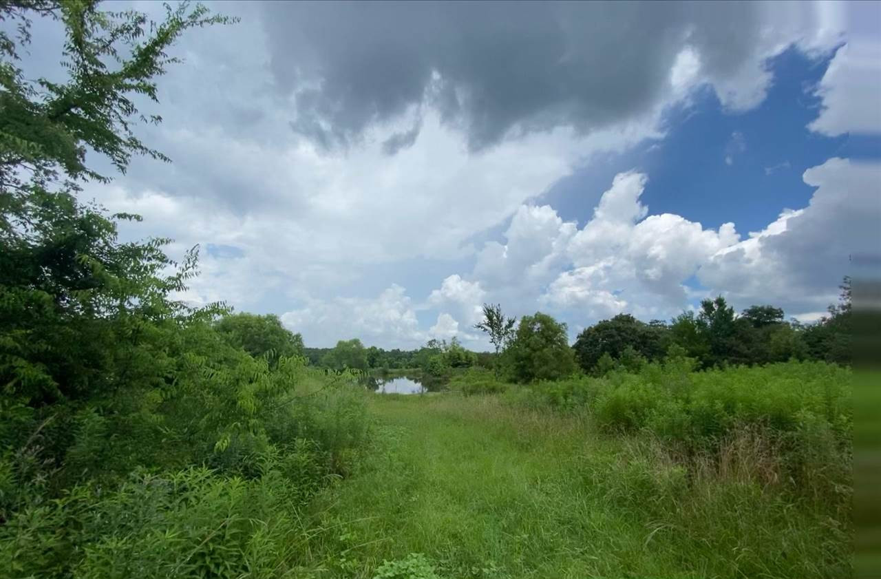 276 Hurdle Road Pelahatchie, MS 39145 - Photo 19 of 23 Photo 19