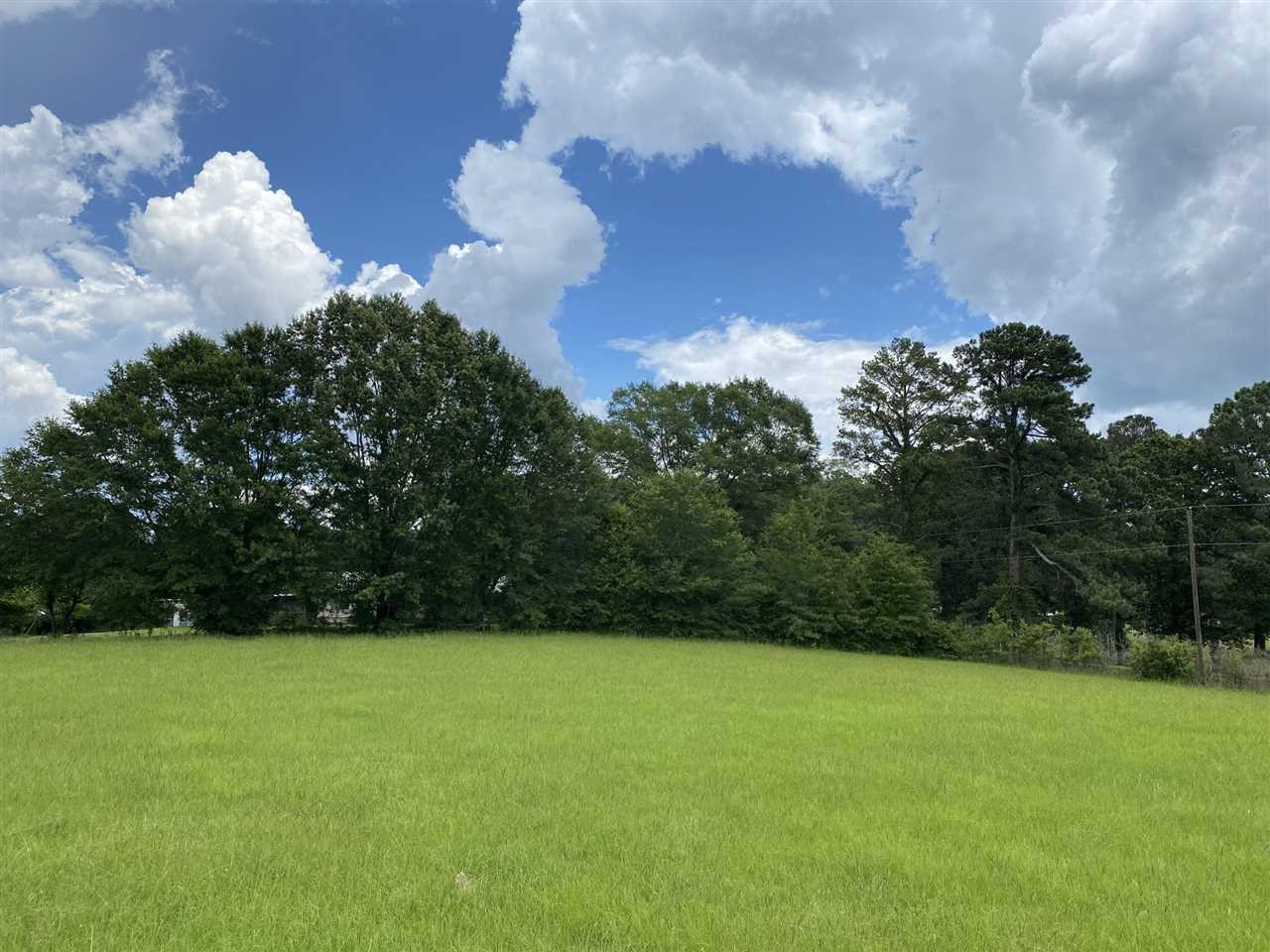 276 Hurdle Road Pelahatchie, MS 39145 - Photo 23 of 23 Photo 23