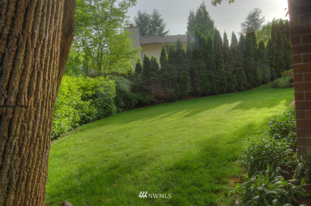 18731 129th Court Northeast Bothell, WA 98011 - Photo 3 of 24 a view of a back yard