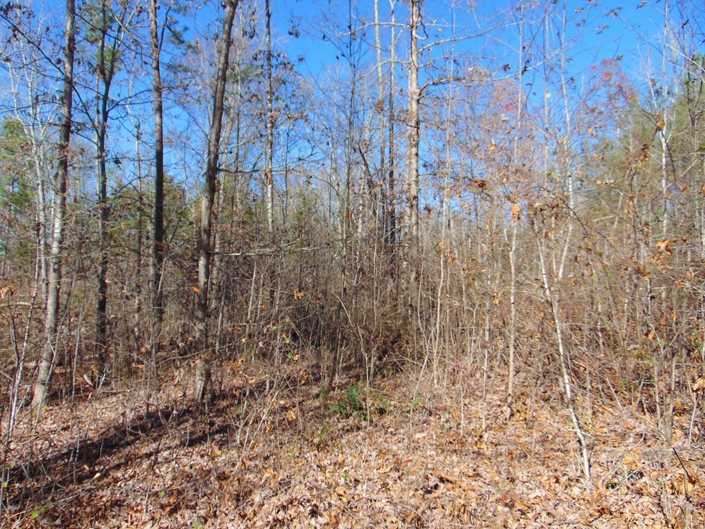 463 Co Road Englewood, TN 37329 - Photo 18 of 28