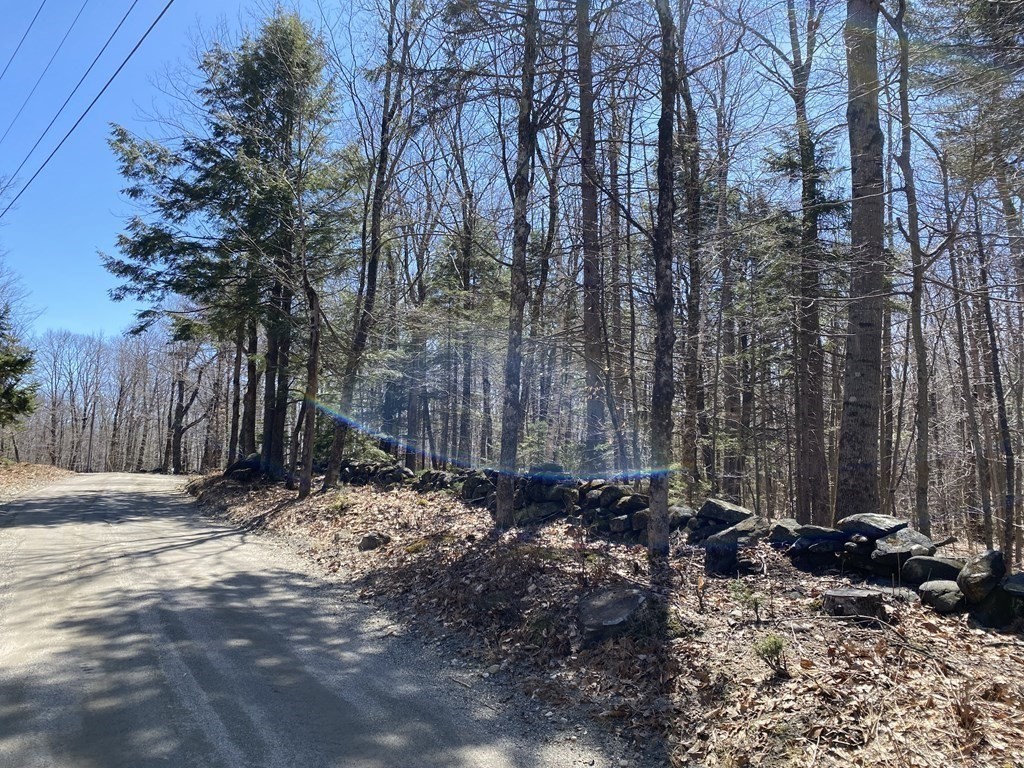 0 Bug Hill Road Ashfield, MA 01330 - Photo 3 of 16 Gallery Image 3