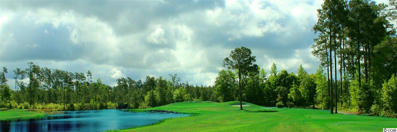 2009 Borgata Loop Longs, SC 29568 - Photo 25 of 33 Gallery Image 25