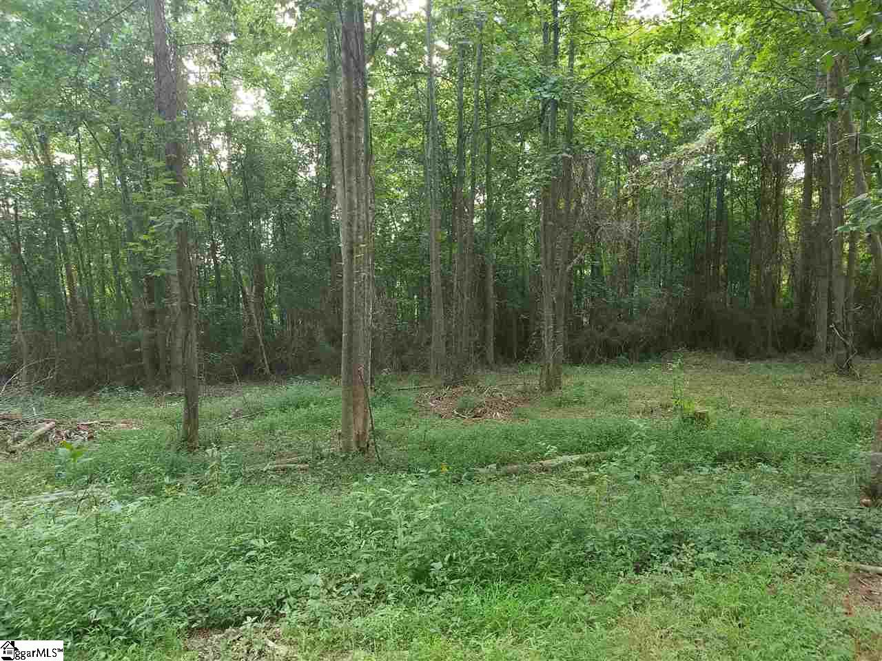 0 Loan Oak Road Anderson, SC 29621 - Photo 4 of 7 Gallery Image 4