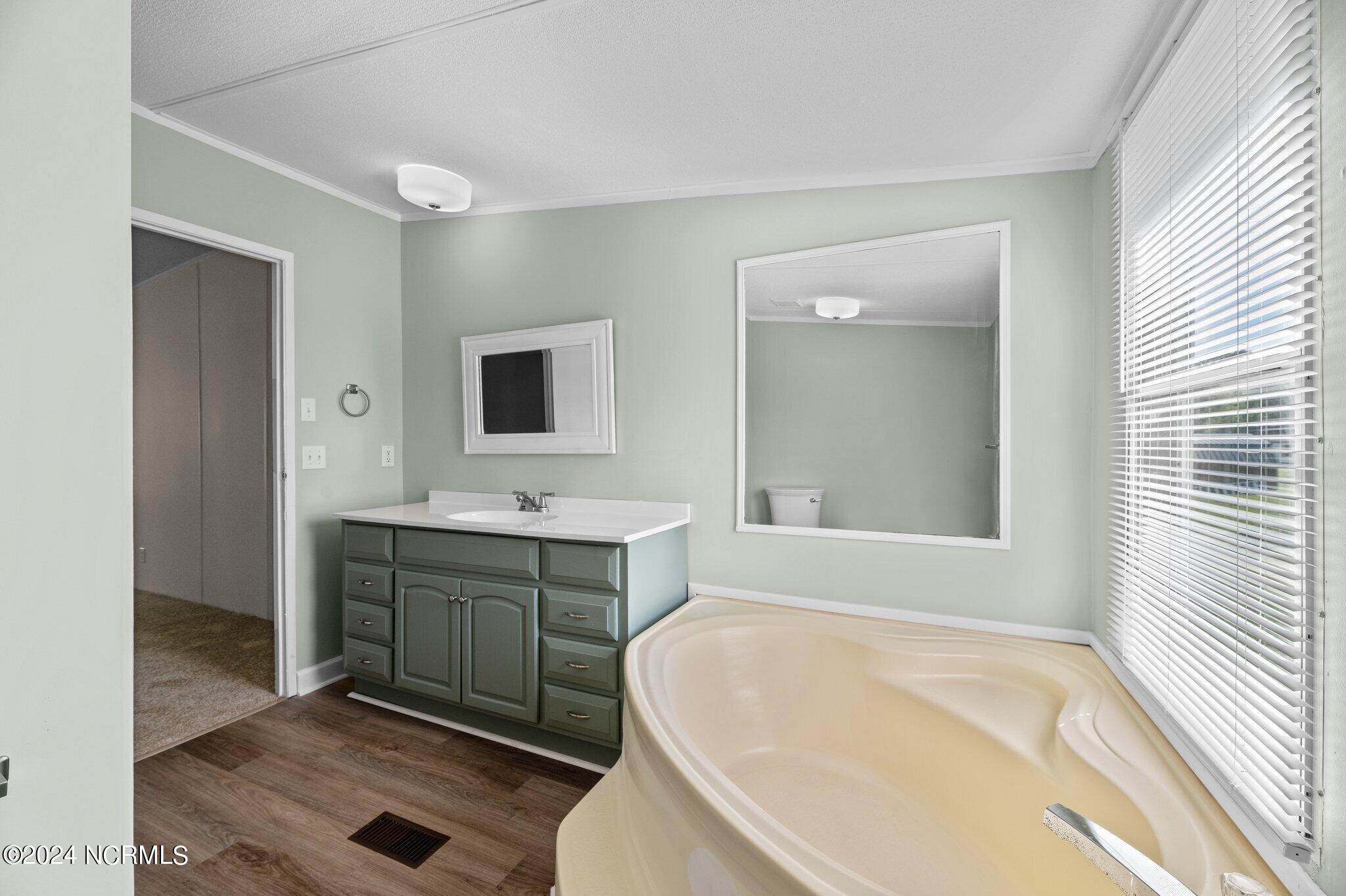 516 Cicero Riggs Road Cove City, NC 28523 - Photo 16 of 23 Master Bathroom View