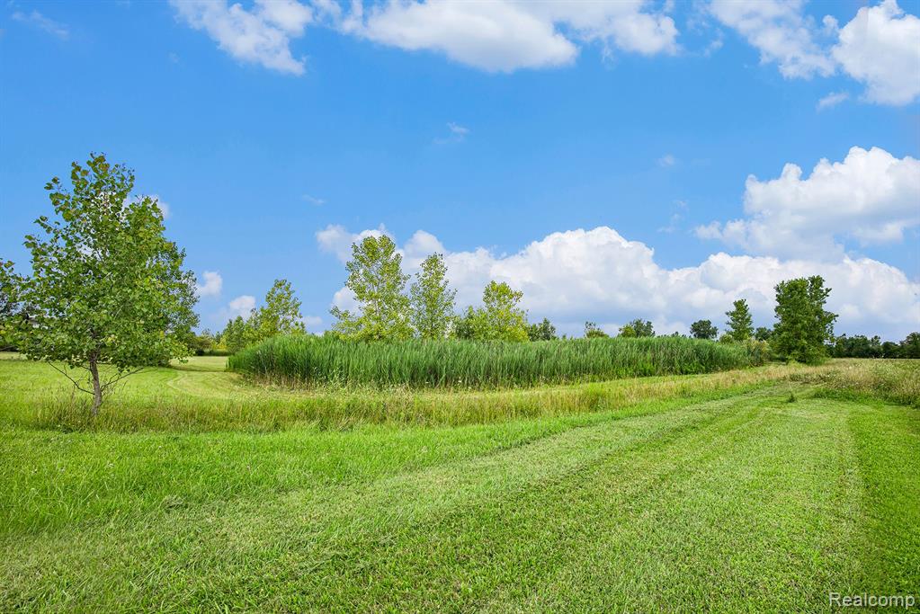 29988 Armada Ridge Road Richmond, MI 48062 - Photo 7 of 25