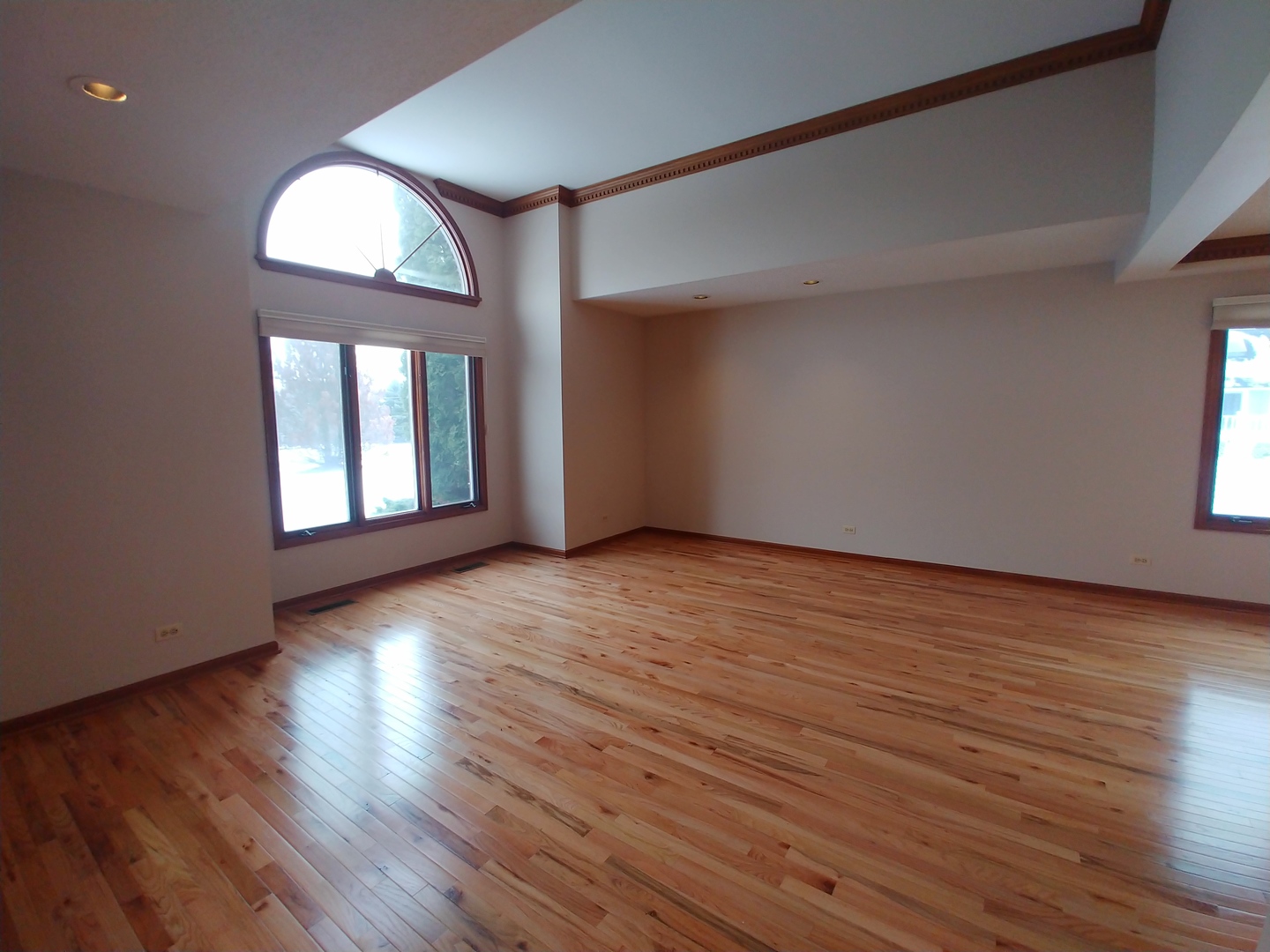 9638 Book Road Naperville, IL 60564 - Photo 9 of 25