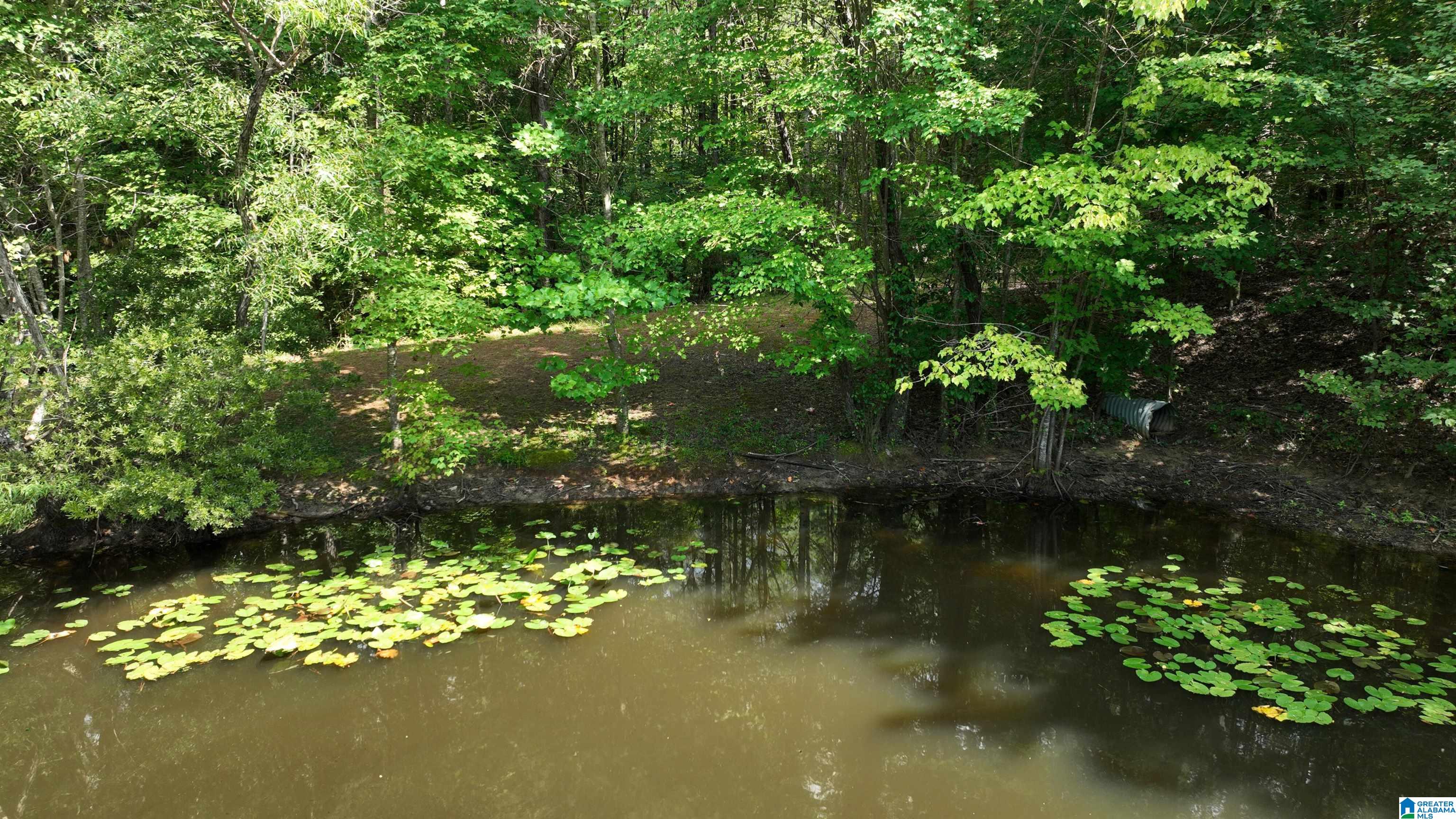 0 Oak Creek Road Fayette, AL 35555 - Photo 2 of 12