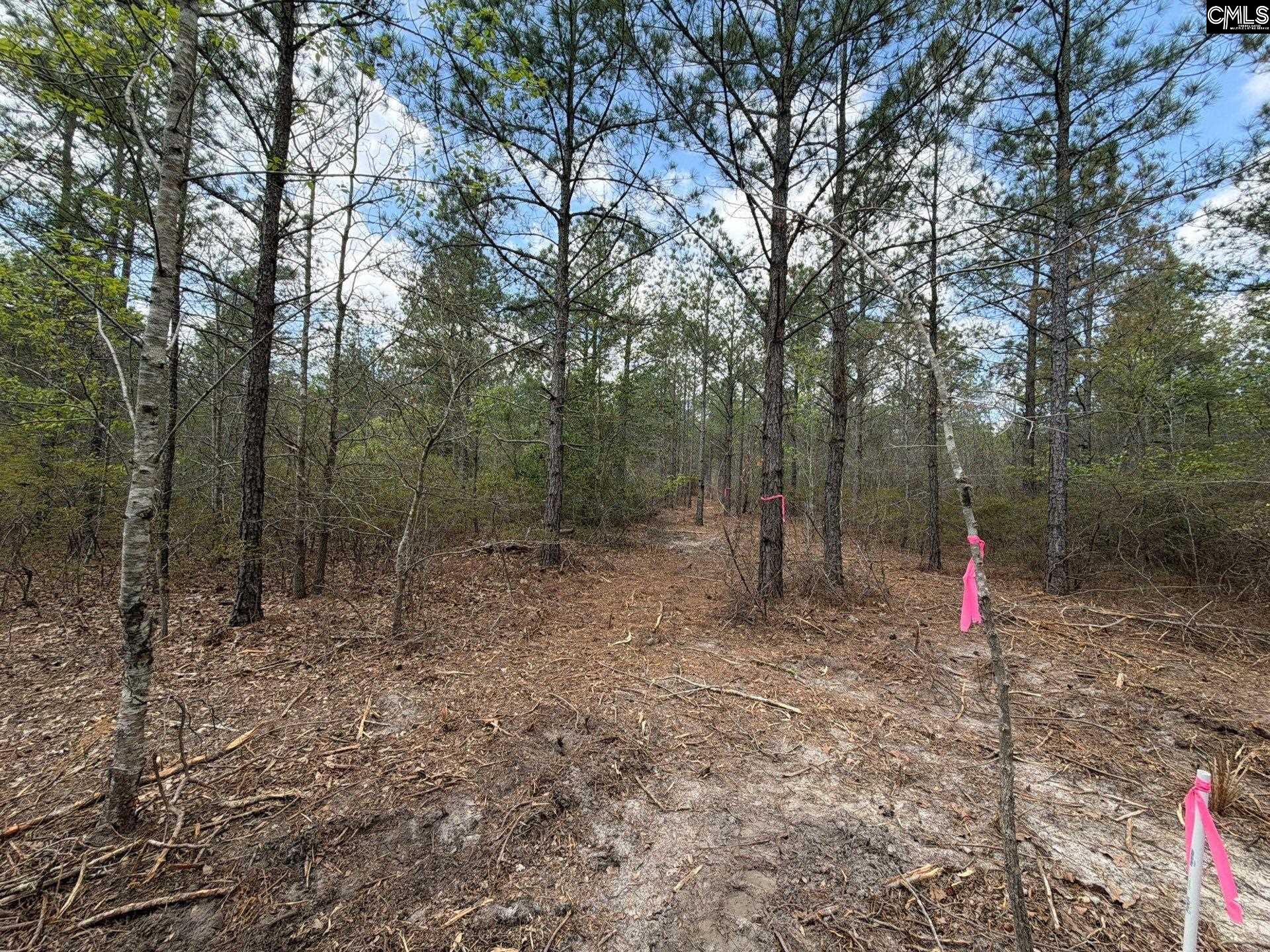2 Mt Calvary Rd Ridge Spring, Unit CA 2 Ridge Spring, SC 29129 - Photo 25 of 29