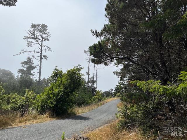 a view of a lake with a tree