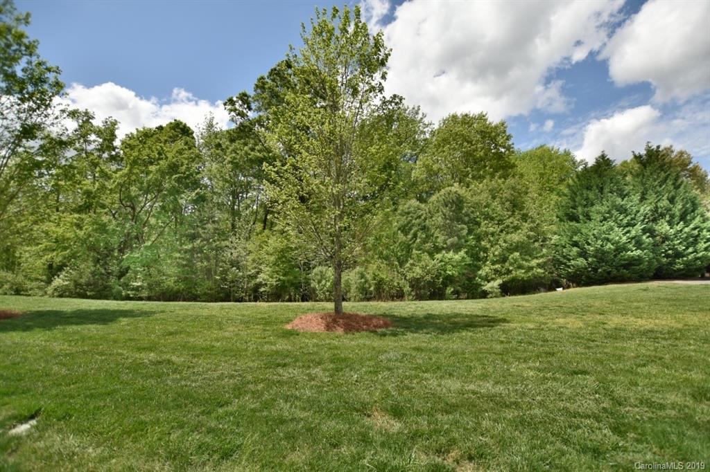 1100 Drayton Court Fort Mill, SC 29708 - Photo 21 of 23